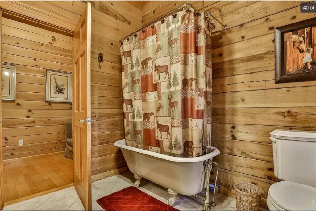 Blue Ridge Bliss- Spacious Cabin, Pets, Hot Tub! Exterior foto